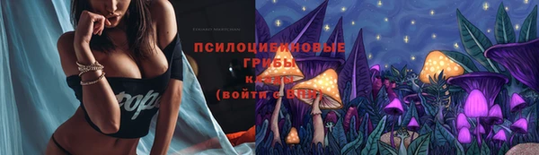 героин Покачи