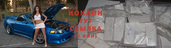 СК Кондопога