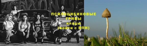 героин Покачи