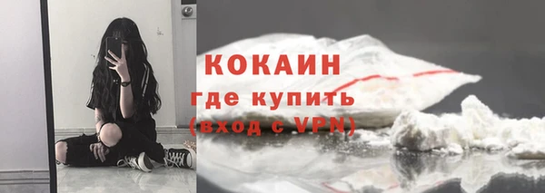 молекула духа Протвино