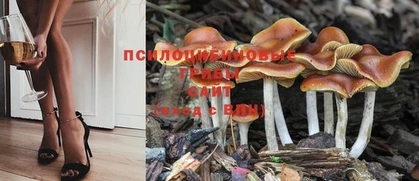 героин Покачи
