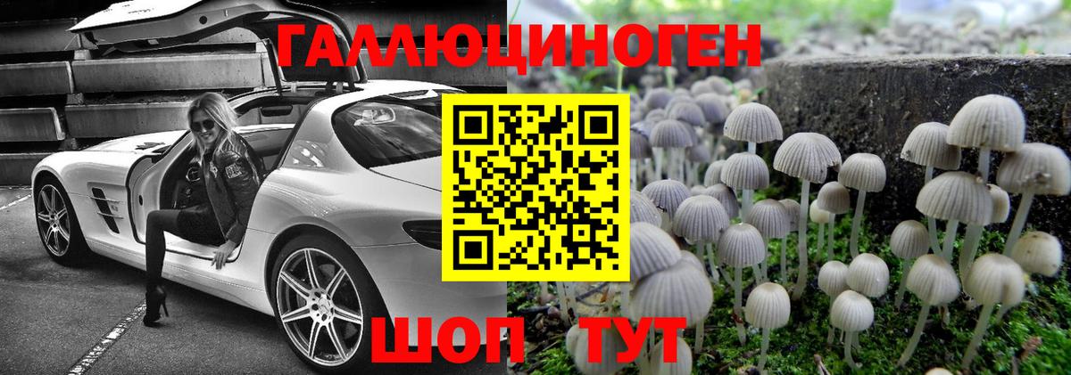 ГАШ Сланцы