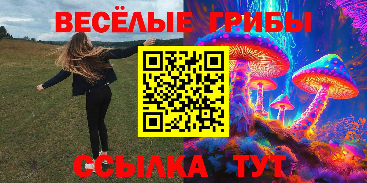 Псилоцибиновые грибы ЛСД  Вход с VPN  Сланцы 