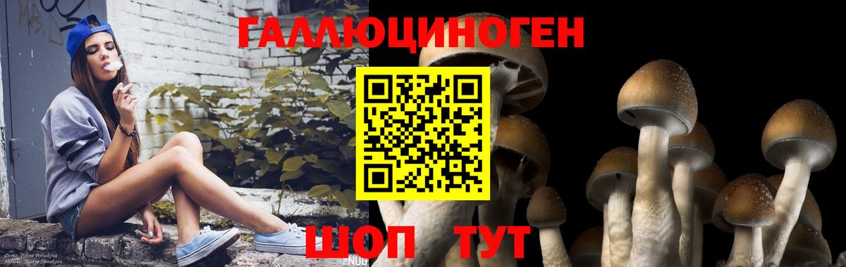 Псилоцибиновые грибы Magic Shrooms Сланцы